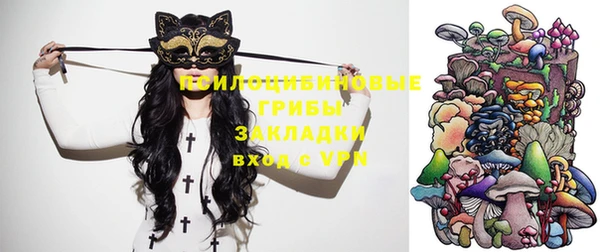 крисы Алзамай